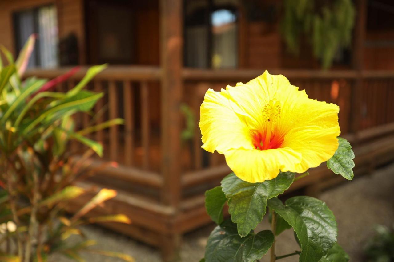 Casa Marcellino Lodge Кауита Экстерьер фото