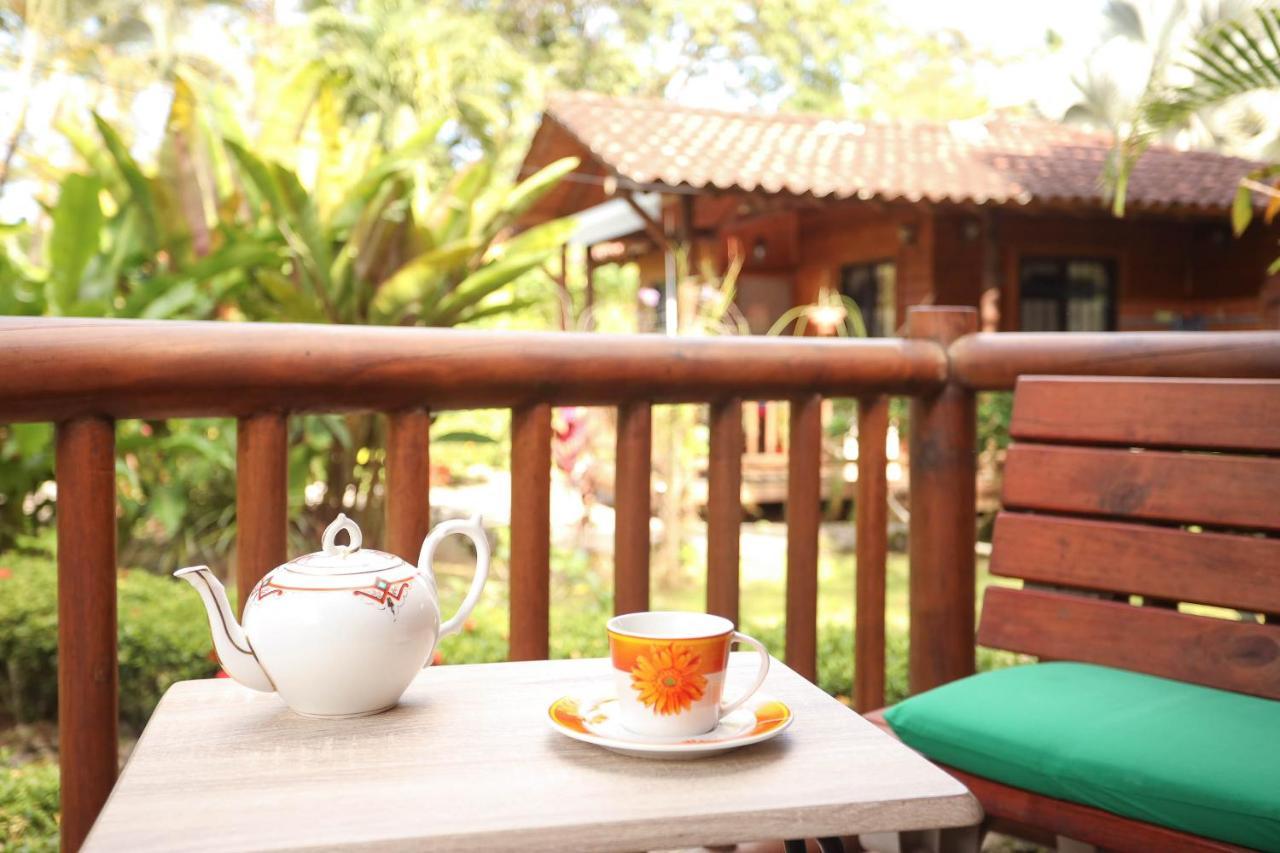 Casa Marcellino Lodge Кауита Экстерьер фото