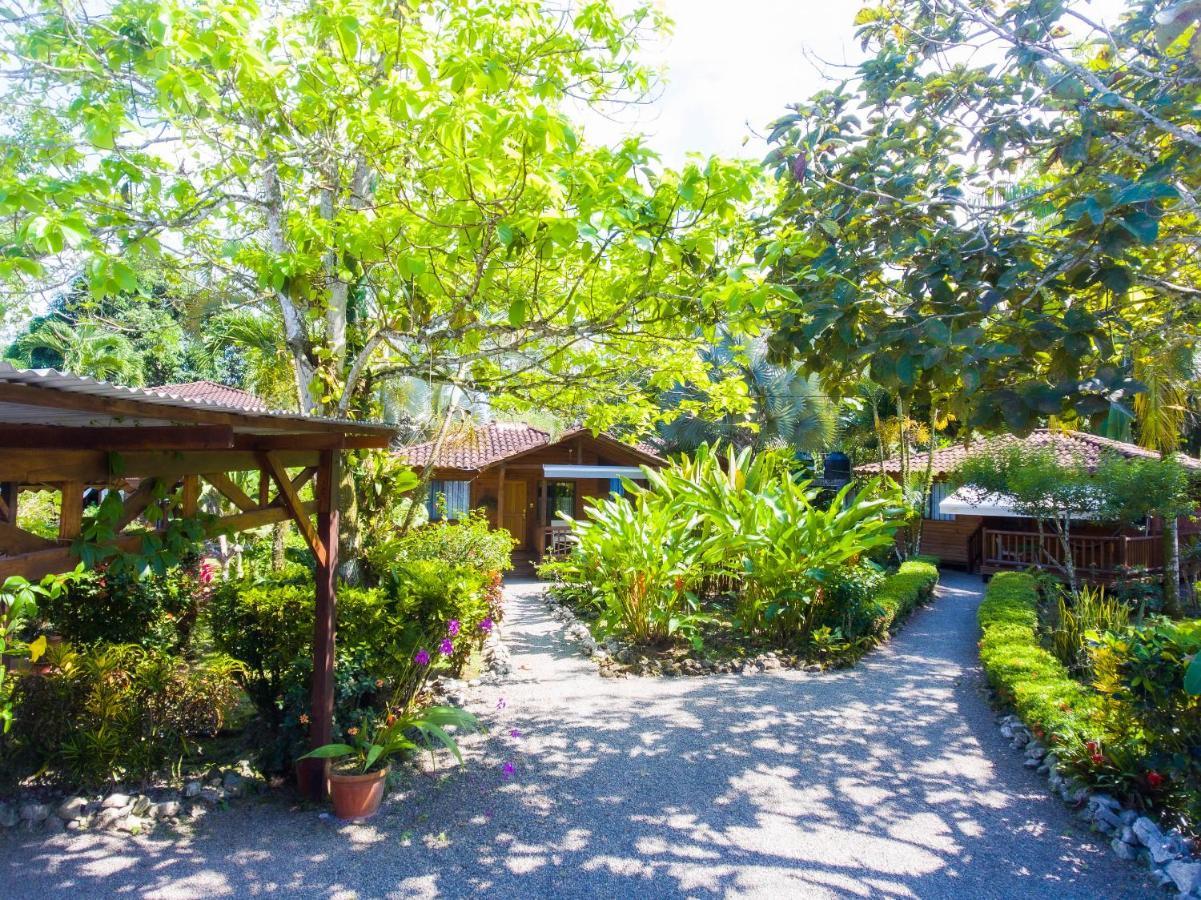Casa Marcellino Lodge Кауита Экстерьер фото