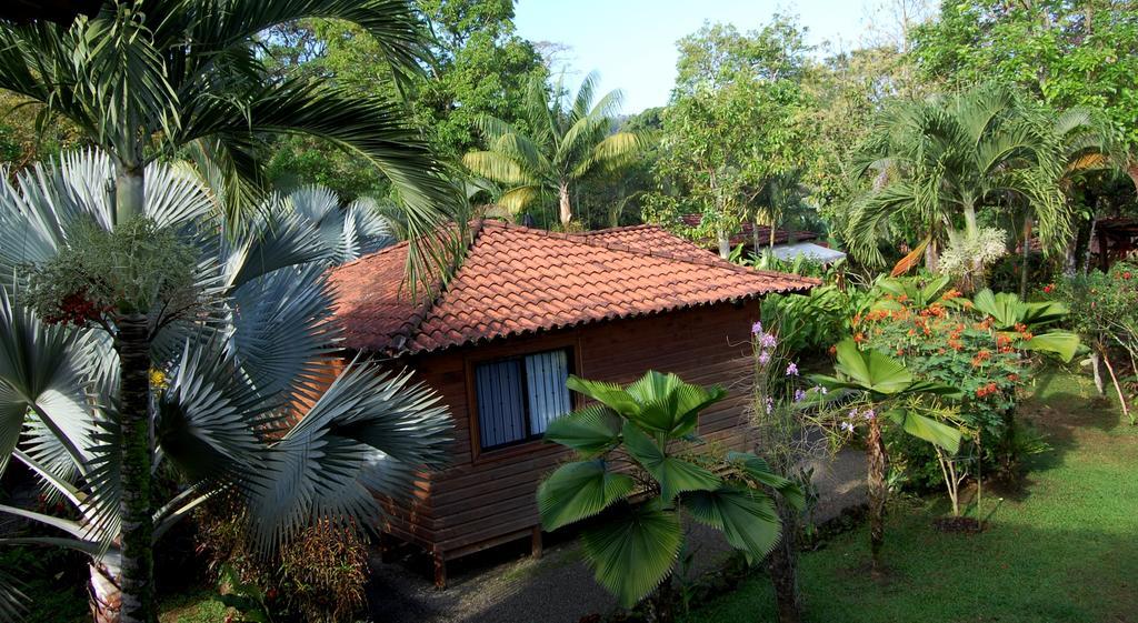 Casa Marcellino Lodge Кауита Экстерьер фото