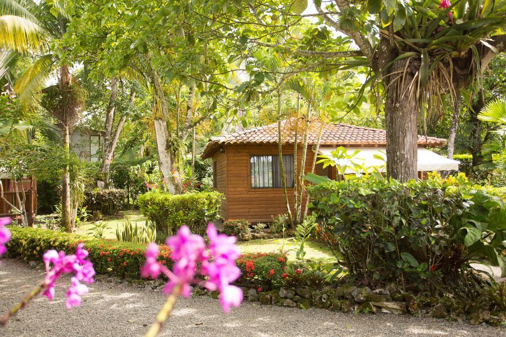 Casa Marcellino Lodge Кауита Экстерьер фото
